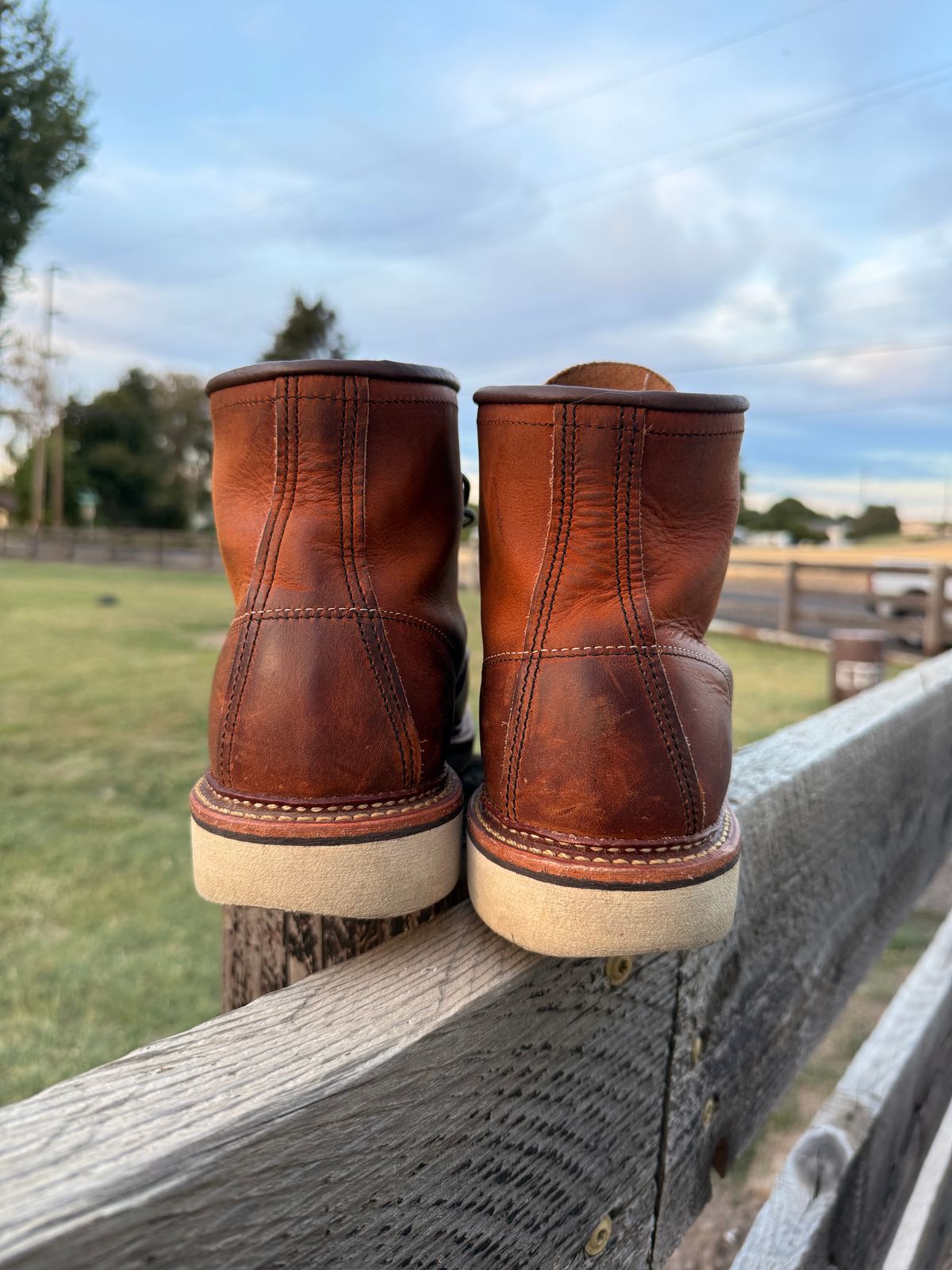 Photo by kswem on August 18, 2025 of the Red Wing 6-Inch Classic Moc in S.B. Foot Copper Rough and Tough.