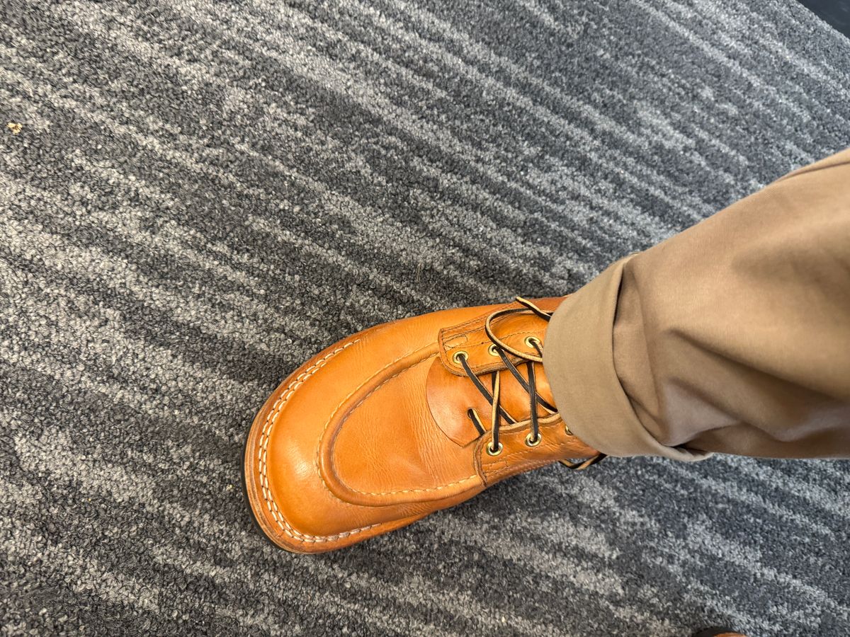 Photo by joecon on November 3, 2025 of the Nicks Custom Model in Horween Light Natural Dublin.