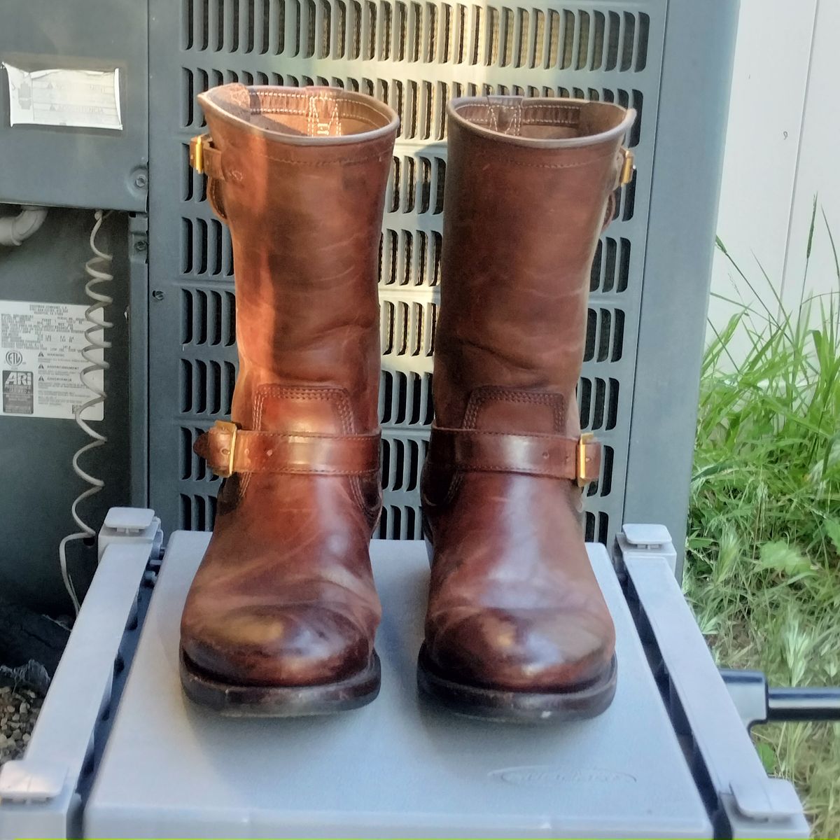 Photo by StuntTriple on March 3, 2026 of the Quan Shoemaker Engineer in Maryam Walnut TPR Horsebutt.