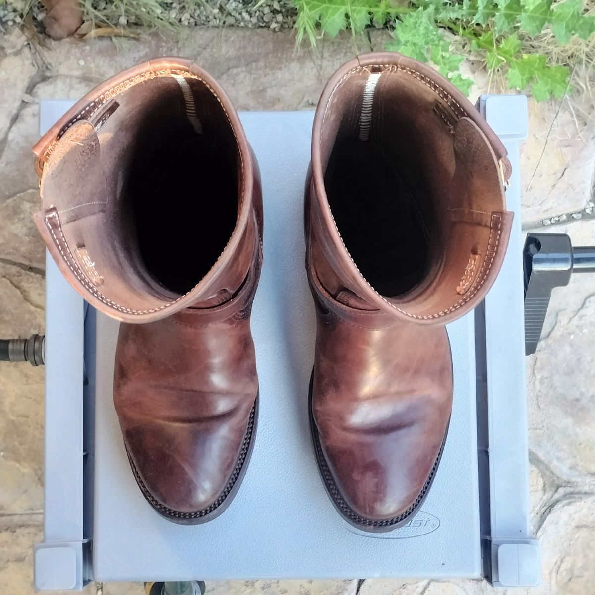 Photo by StuntTriple on March 3, 2026 of the Quan Shoemaker Engineer in Maryam Walnut TPR Horsebutt.