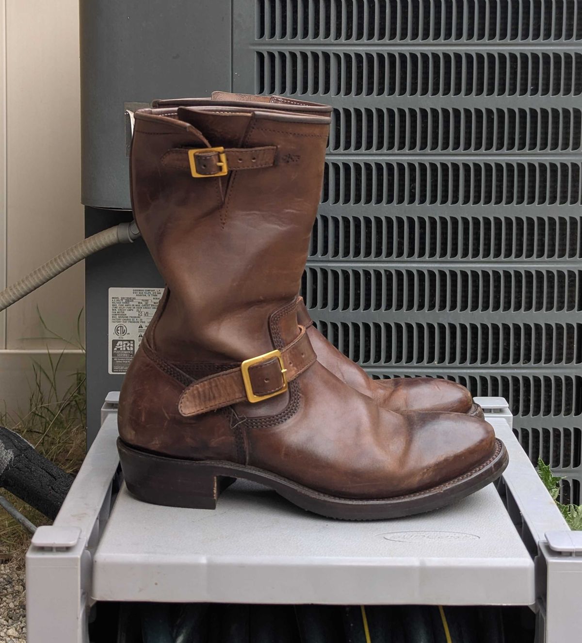 Photo by StuntTriple on April 1, 2026 of the Quan Shoemaker Engineer in Maryam Walnut TPR Horsebutt.