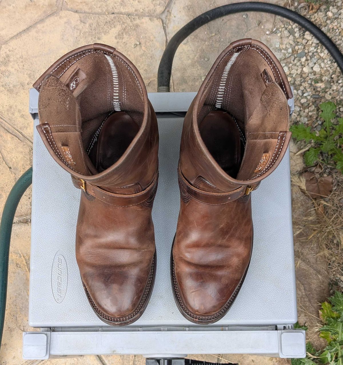 Photo by StuntTriple on April 1, 2026 of the Quan Shoemaker Engineer in Maryam Walnut TPR Horsebutt.