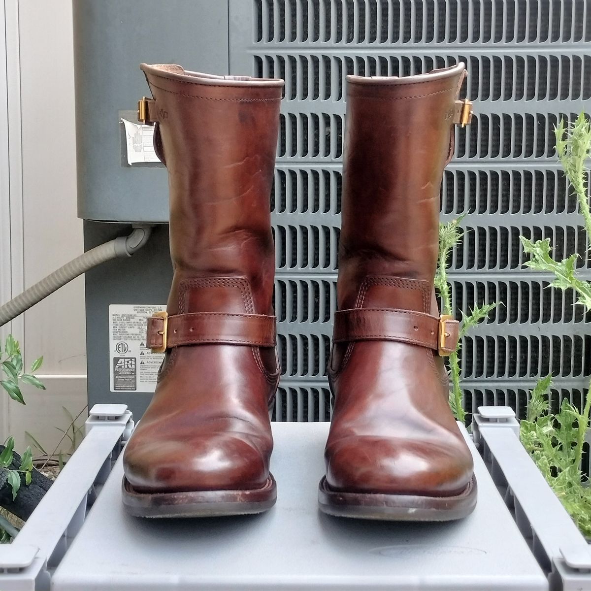 Photo by StuntTriple on April 25, 2026 of the Quan Shoemaker Engineer in Maryam Walnut TPR Horsebutt.