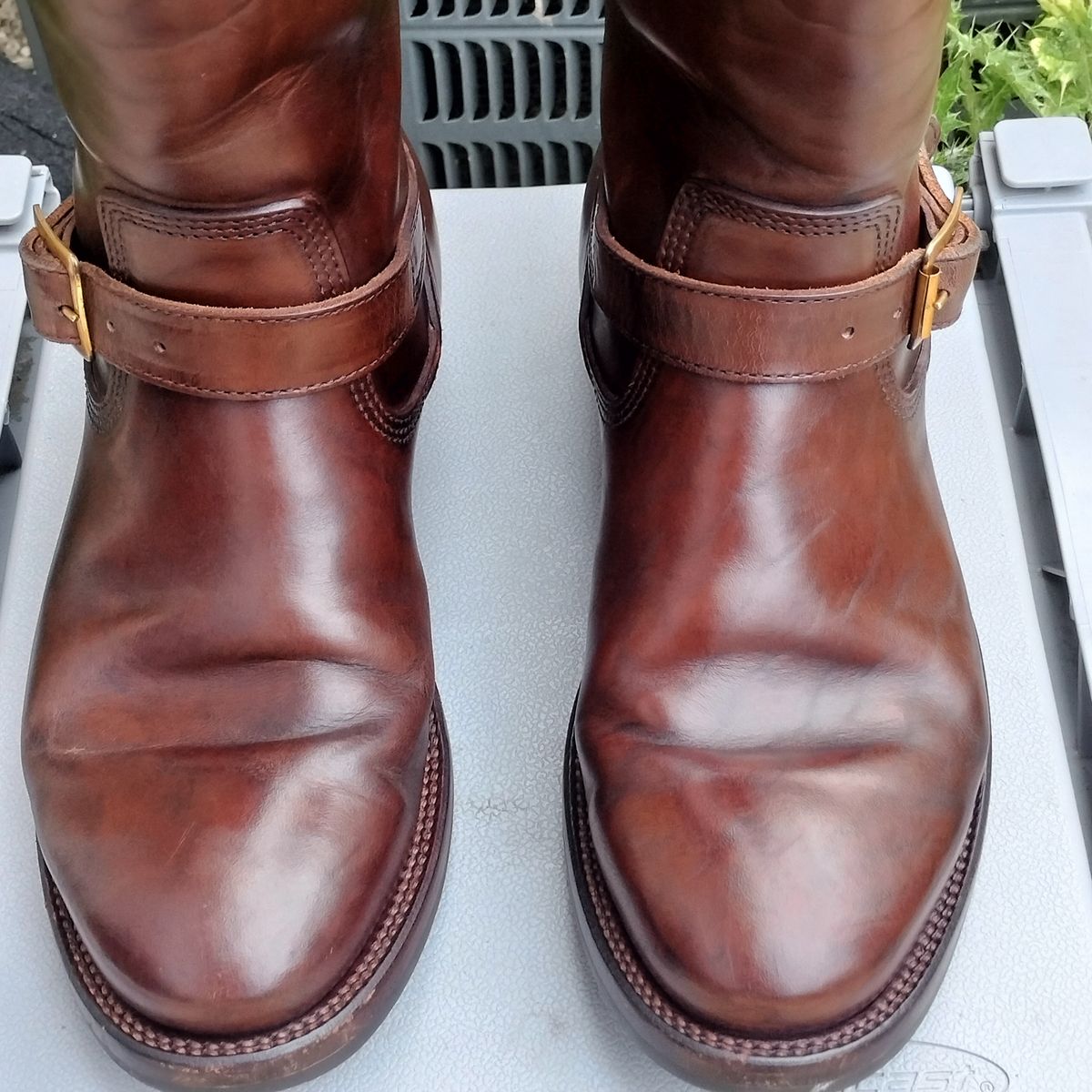 Photo by StuntTriple on April 25, 2026 of the Quan Shoemaker Engineer in Maryam Walnut TPR Horsebutt.