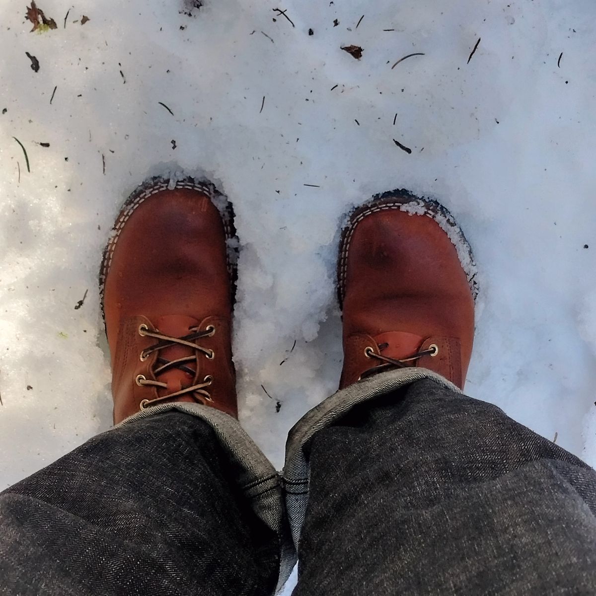 Photo by StuntTriple on January 17, 2026 of the Nicks Strider ZD in Nicks / Horween Honey Spokane.