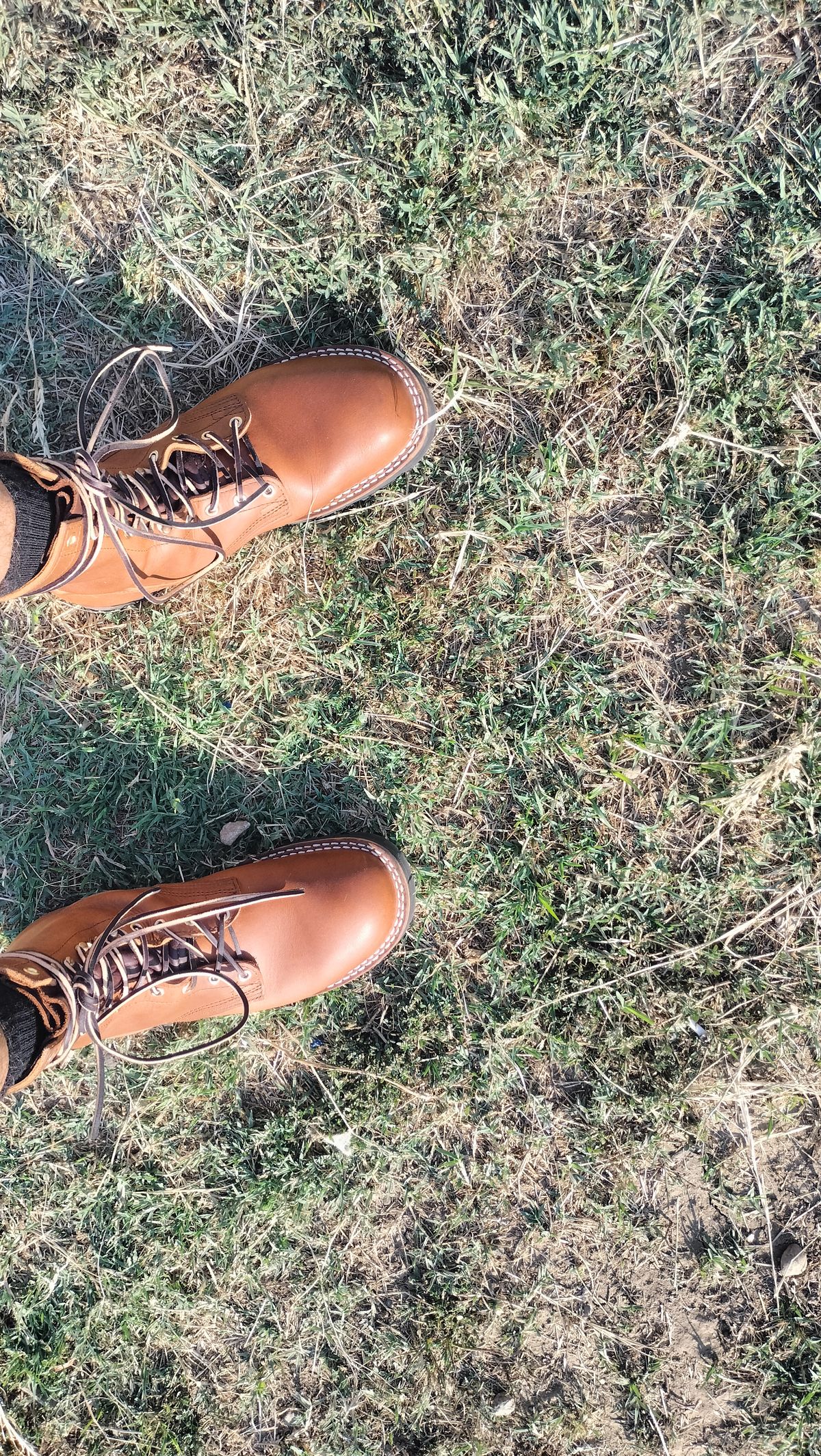 Photo by StuntTriple on August 3, 2025 of the Nicks Strider ZD in Nicks / Horween Honey Spokane.