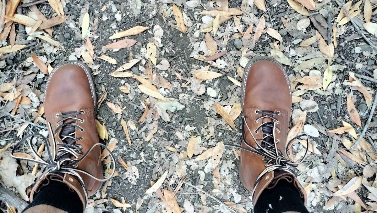 Photo by StuntTriple on August 3, 2025 of the Nicks Strider ZD in Nicks / Horween Honey Spokane.