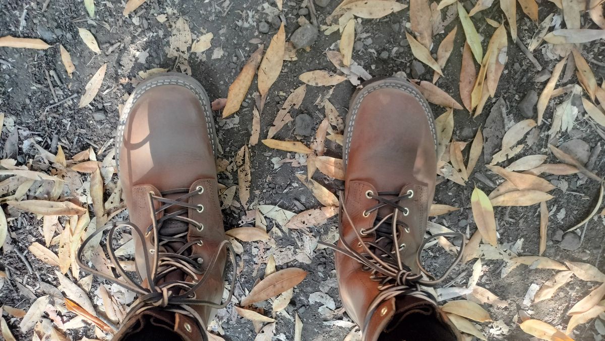 Photo by StuntTriple on August 3, 2025 of the Nicks Strider ZD in Nicks / Horween Honey Spokane.