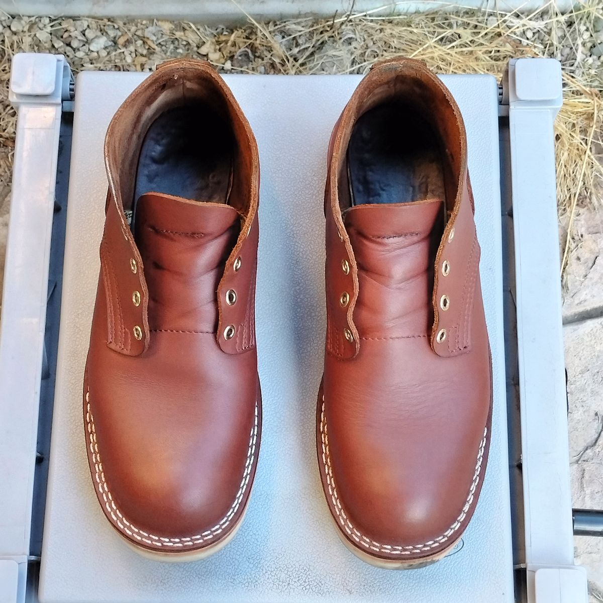 Photo by StuntTriple on October 20, 2025 of the Nicks Riverfront in Seidel 1964 Brown.