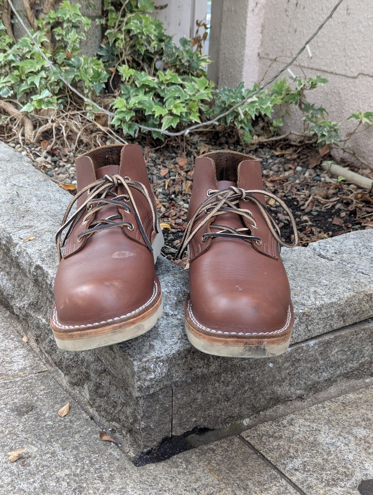 Photo by StuntTriple on November 2, 2025 of the Nicks Riverfront in Seidel 1964 Brown.