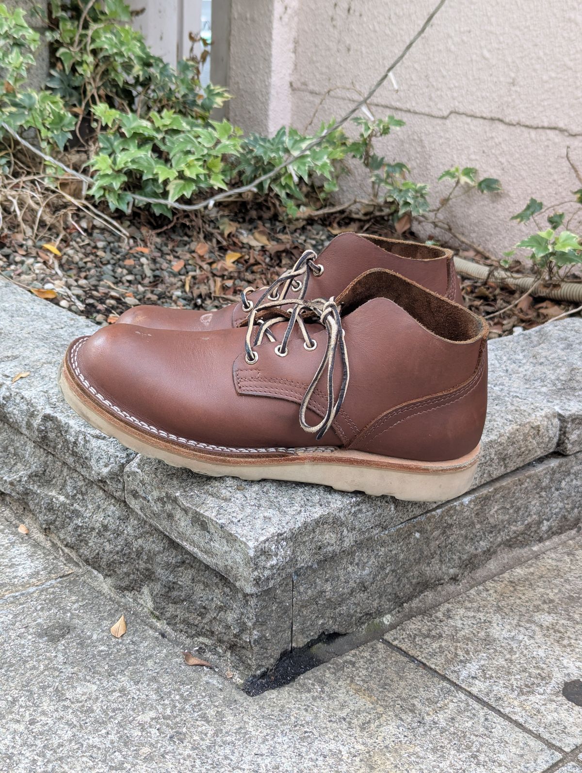 Photo by StuntTriple on November 2, 2025 of the Nicks Riverfront in Seidel 1964 Brown.