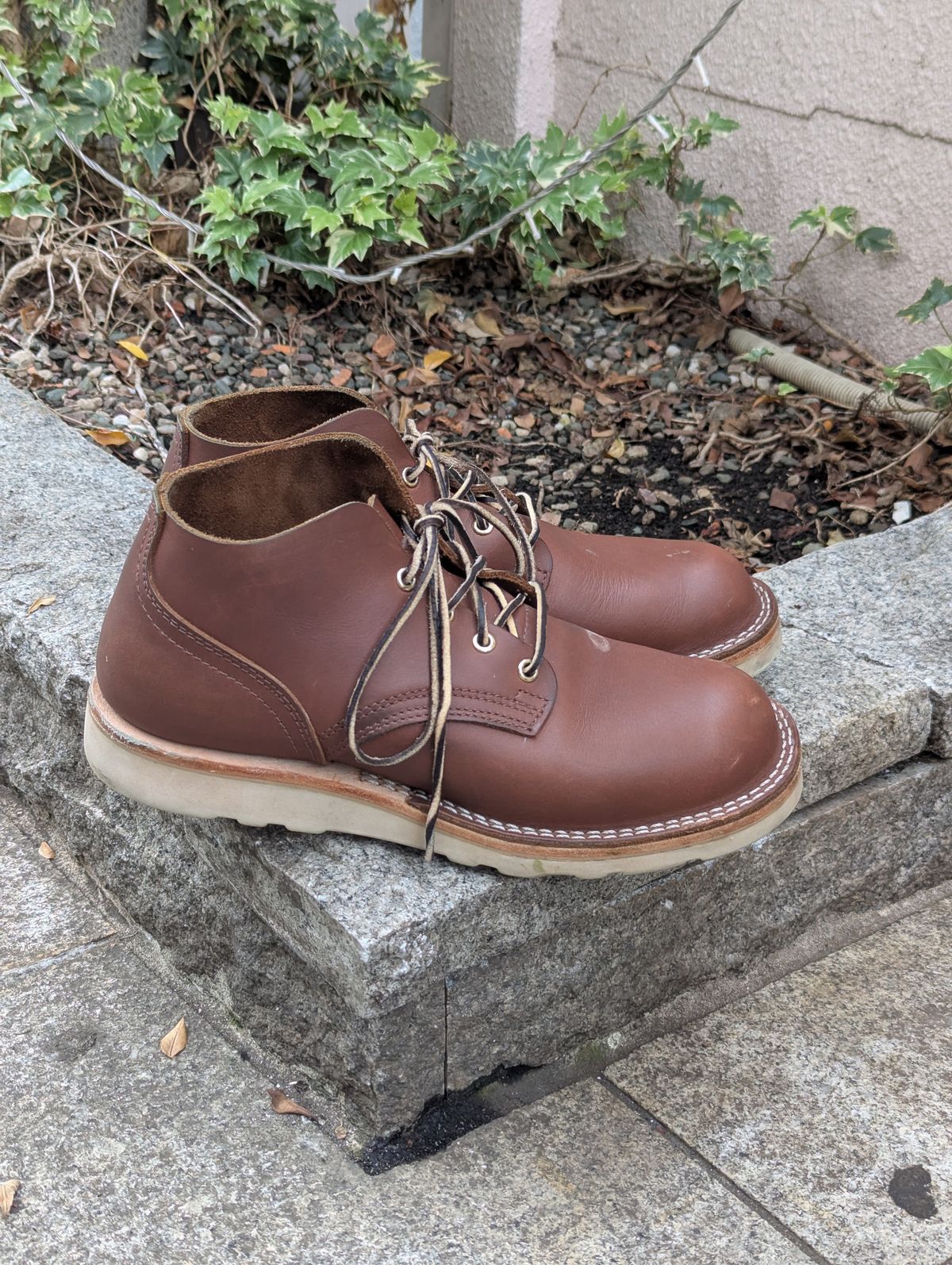 Photo by StuntTriple on November 2, 2025 of the Nicks Riverfront in Seidel 1964 Brown.