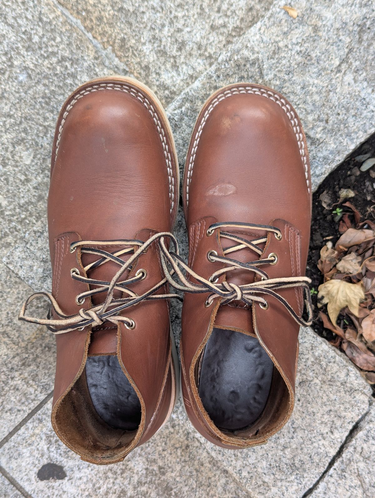 Photo by StuntTriple on November 2, 2025 of the Nicks Riverfront in Seidel 1964 Brown.