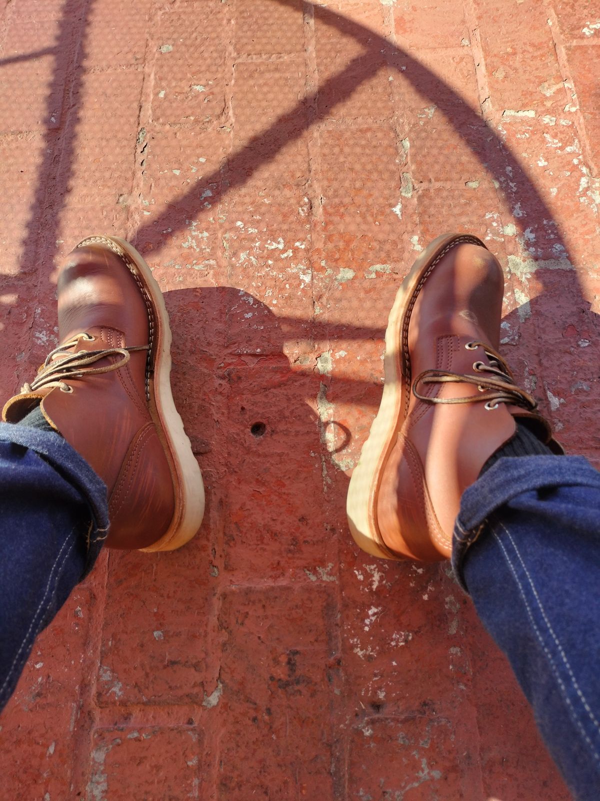 Photo by StuntTriple on December 19, 2025 of the Nicks Riverfront in Seidel 1964 Brown.