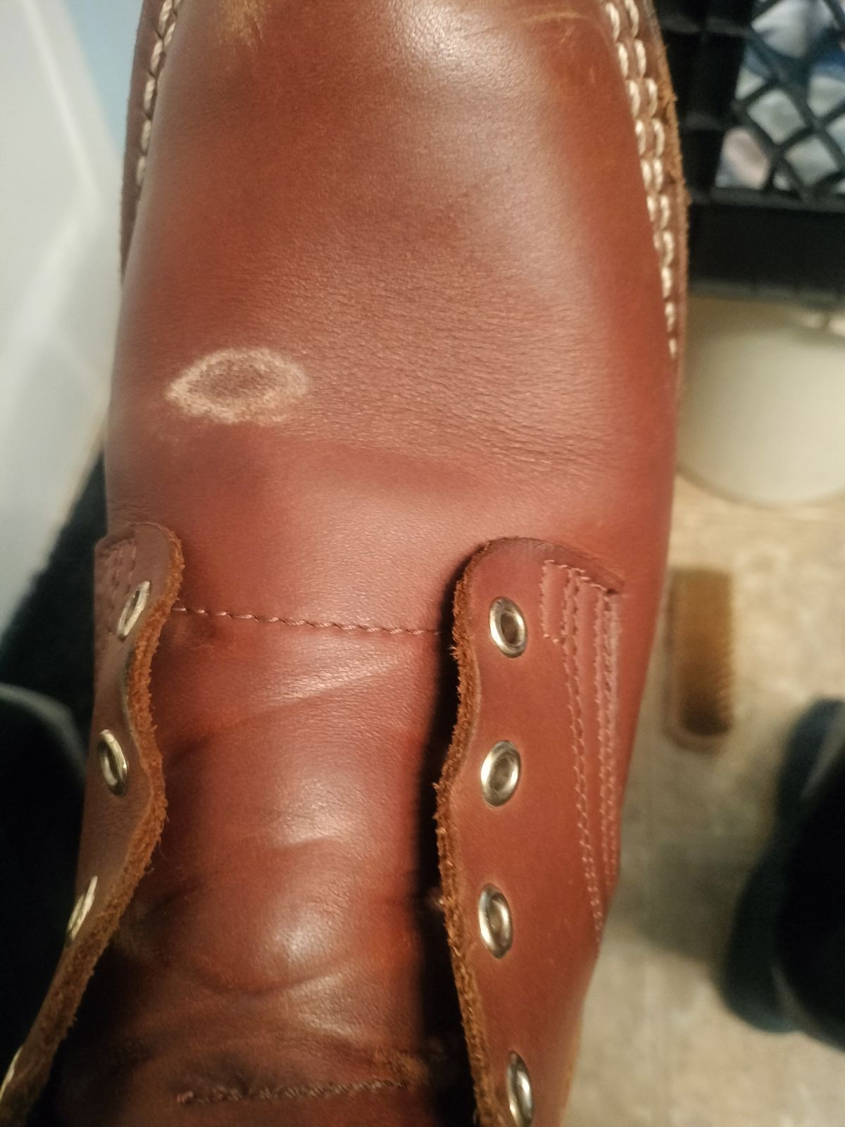 Photo by StuntTriple on January 2, 2026 of the Nicks Riverfront in Seidel 1964 Brown.