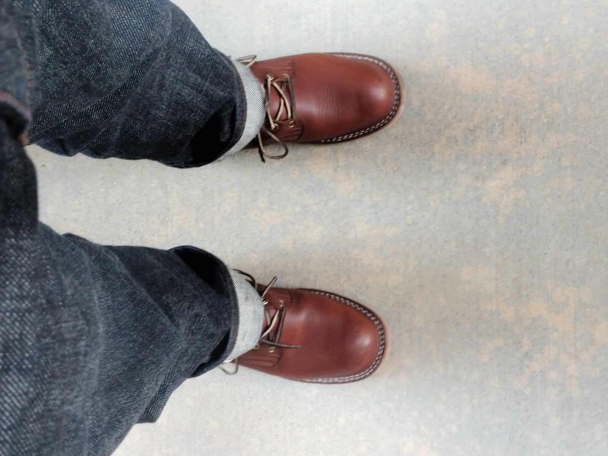 Photo by StuntTriple on February 1, 2026 of the Nicks Riverfront in Seidel 1964 Brown.