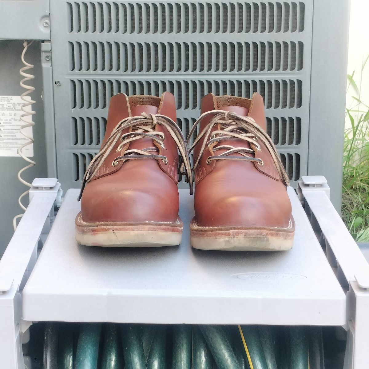 Photo by StuntTriple on February 3, 2026 of the Nicks Riverfront in Seidel 1964 Brown.