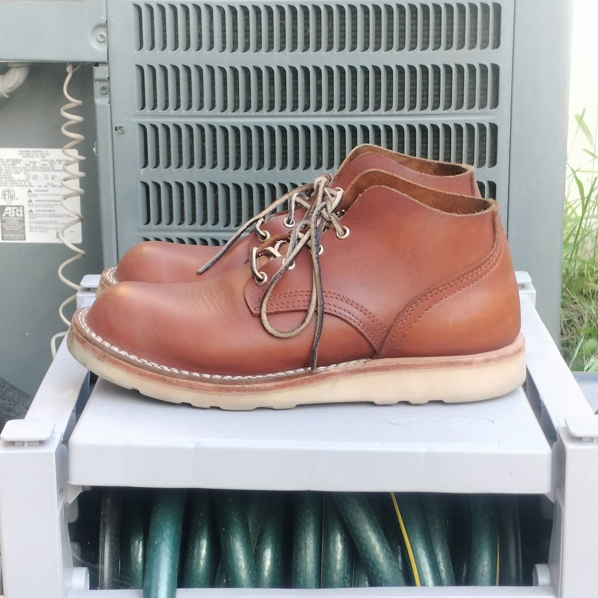 Photo by StuntTriple on February 3, 2026 of the Nicks Riverfront in Seidel 1964 Brown.