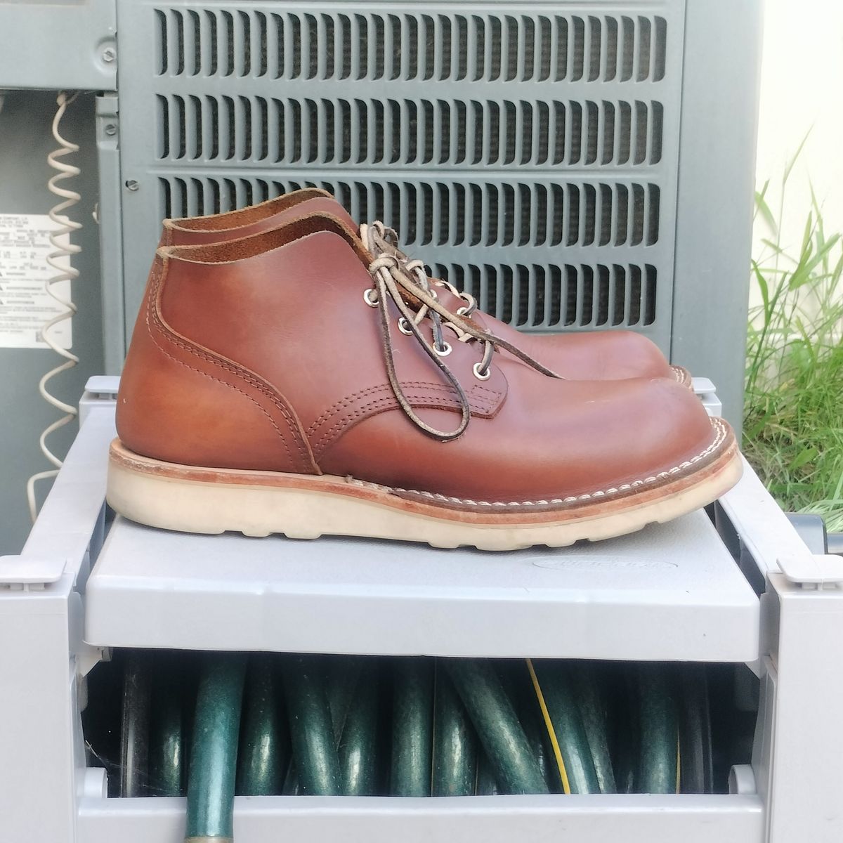 Photo by StuntTriple on February 3, 2026 of the Nicks Riverfront in Seidel 1964 Brown.