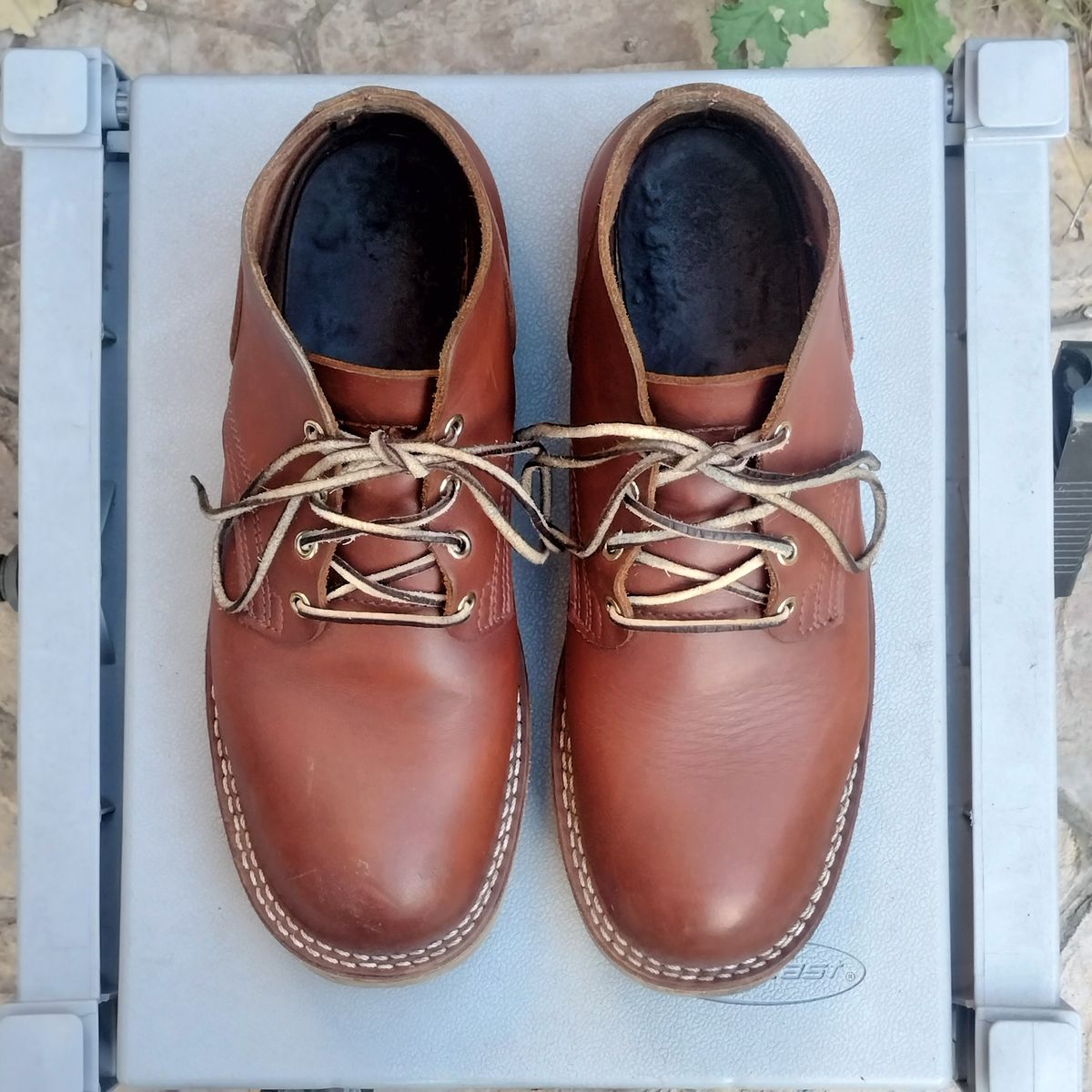 Photo by StuntTriple on February 3, 2026 of the Nicks Riverfront in Seidel 1964 Brown.