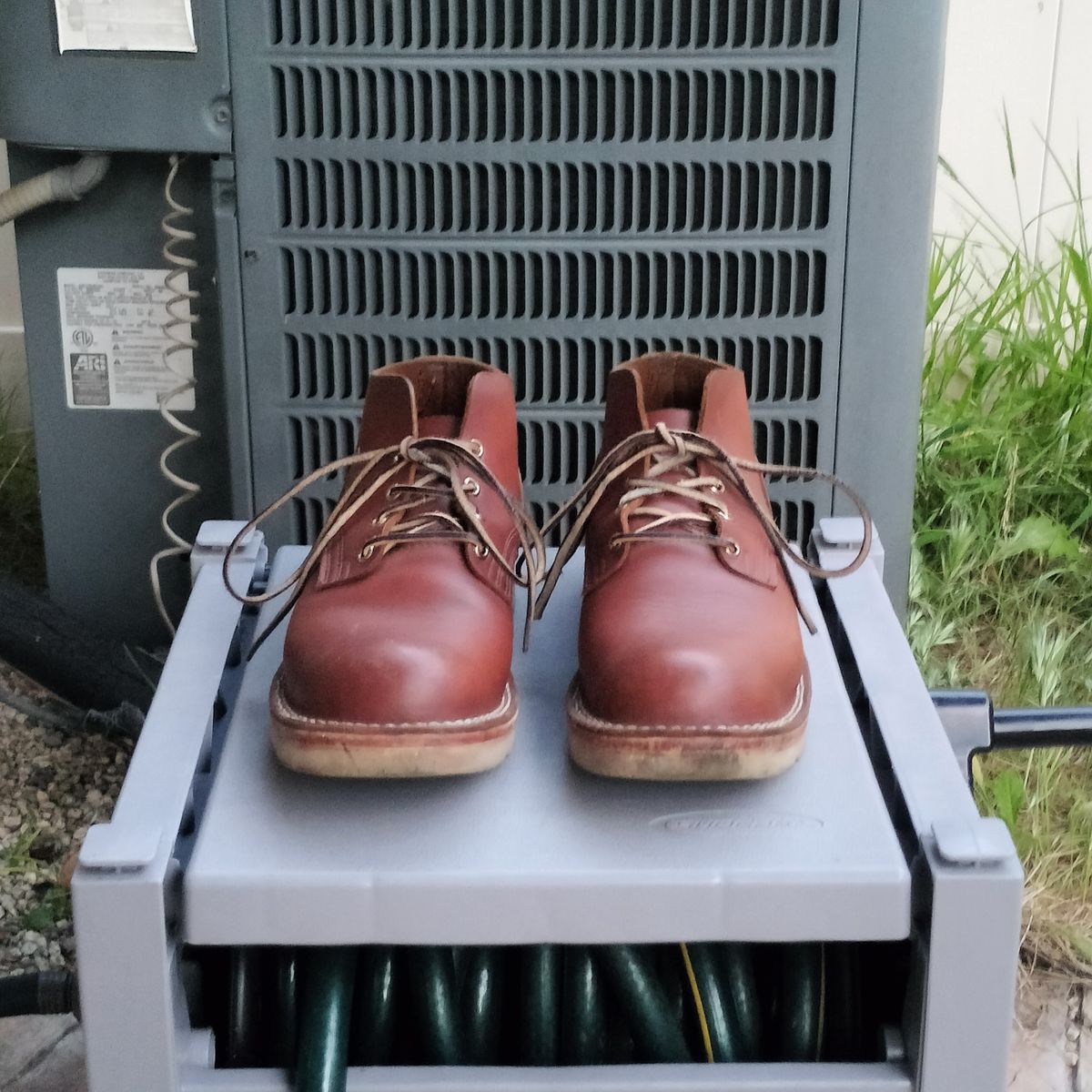 Photo by StuntTriple on March 2, 2026 of the Nicks Riverfront in Seidel 1964 Brown.