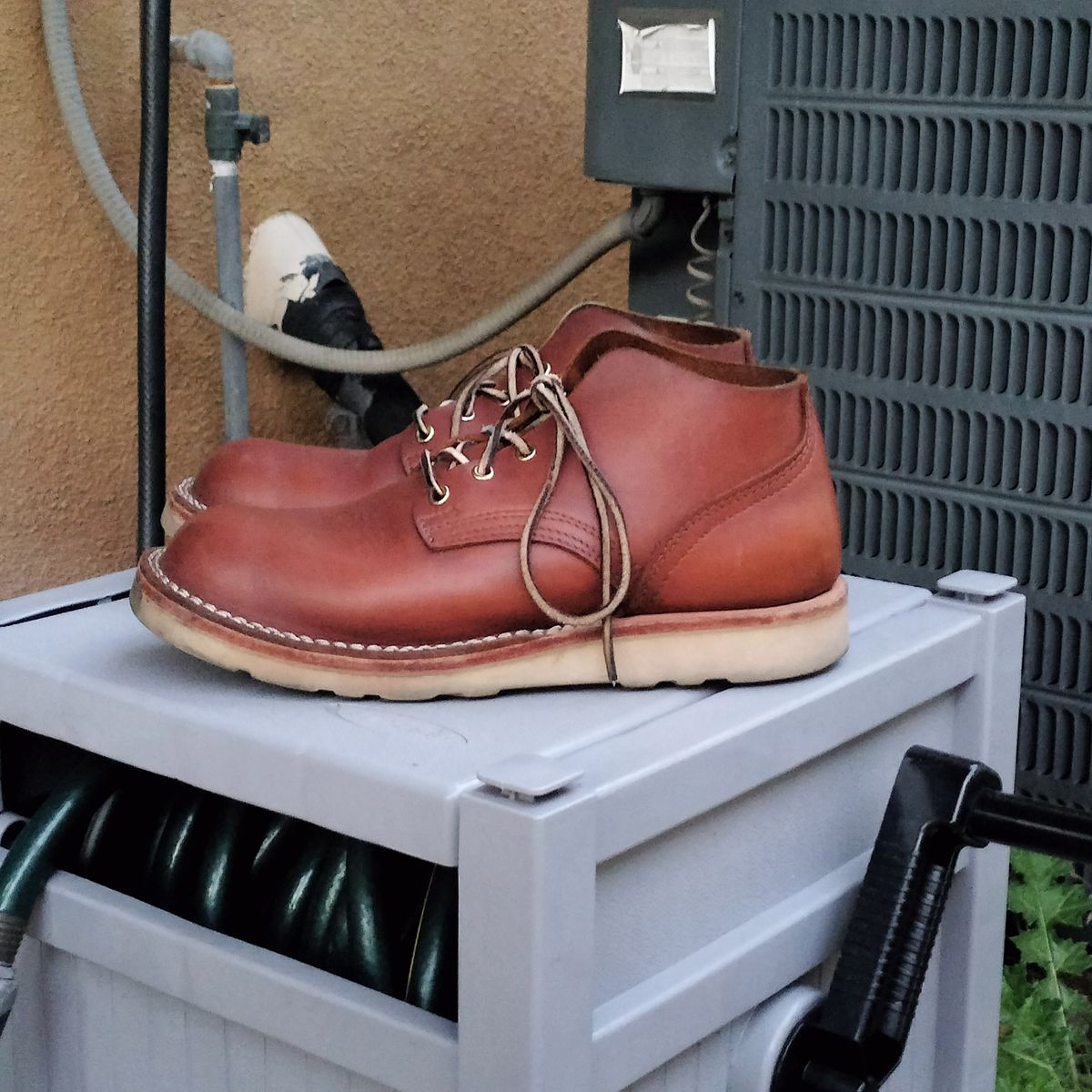 Photo by StuntTriple on March 2, 2026 of the Nicks Riverfront in Seidel 1964 Brown.