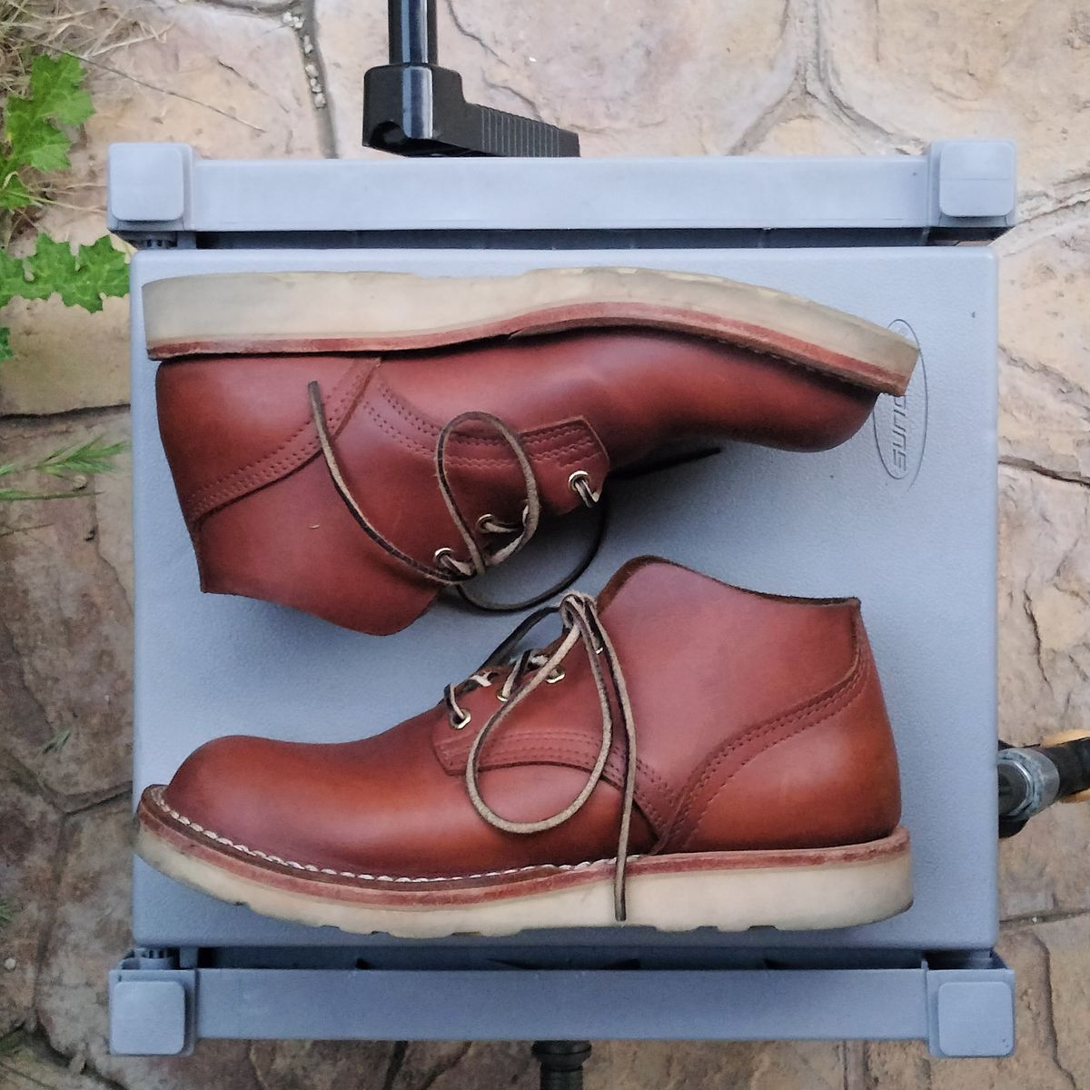 Photo by StuntTriple on March 2, 2026 of the Nicks Riverfront in Seidel 1964 Brown.