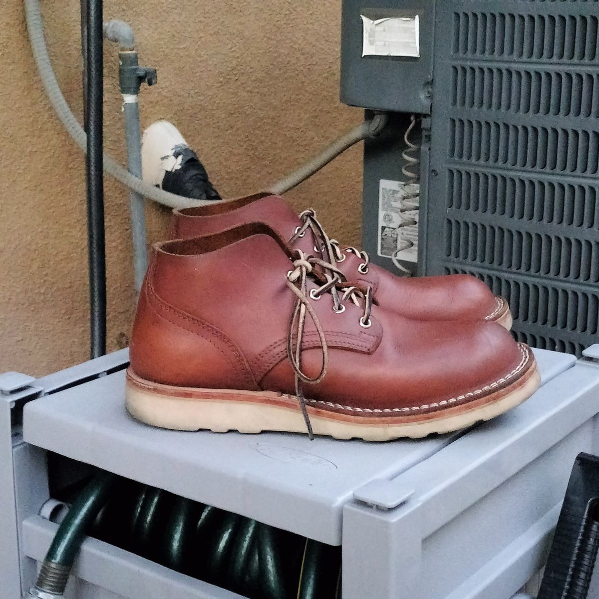 Photo by StuntTriple on March 2, 2026 of the Nicks Riverfront in Seidel 1964 Brown.