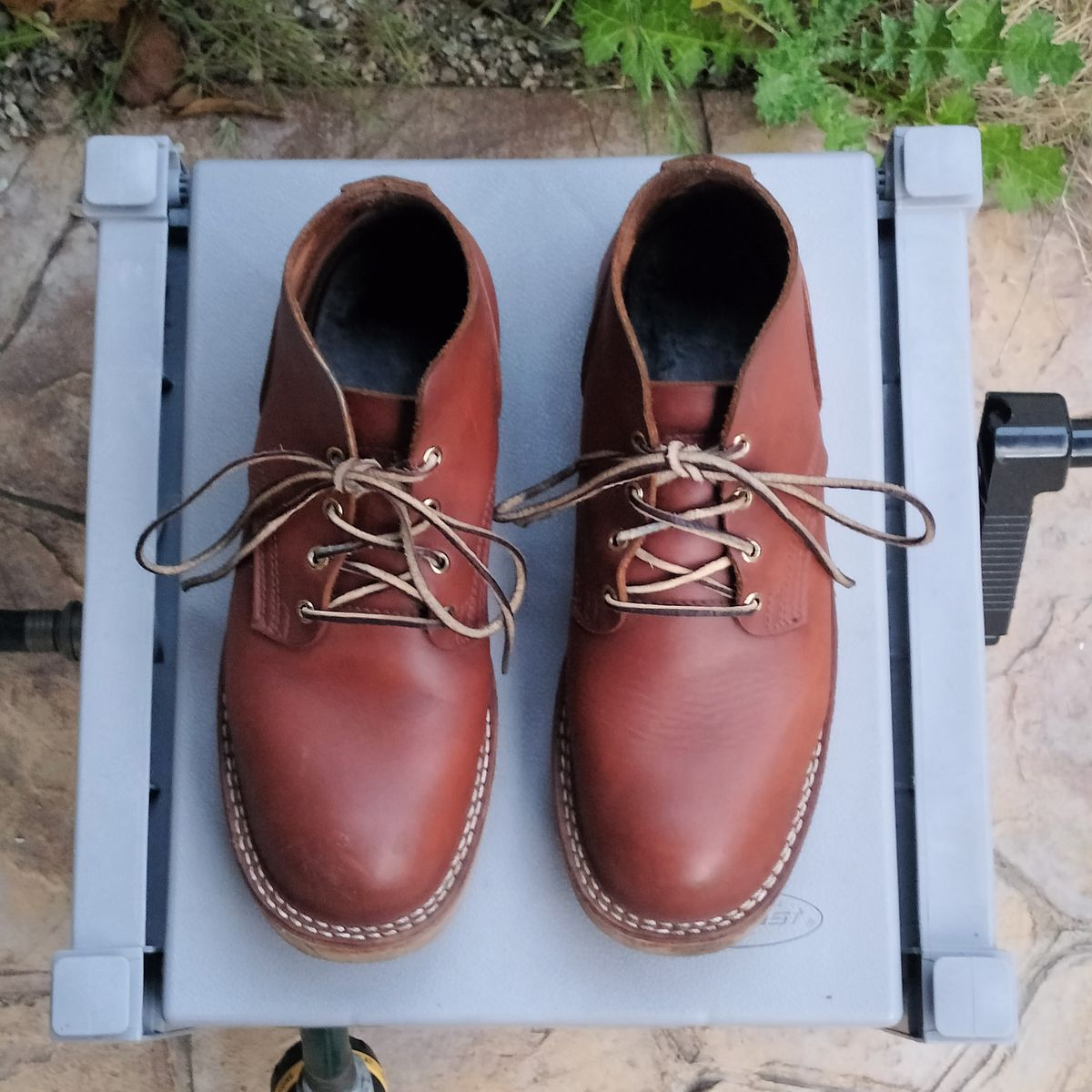 Photo by StuntTriple on March 2, 2026 of the Nicks Riverfront in Seidel 1964 Brown.