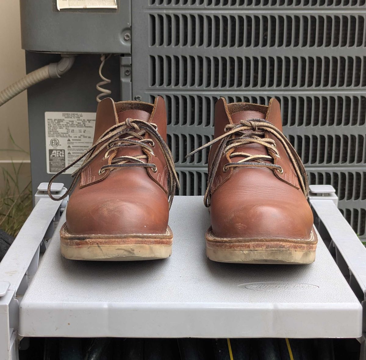 Photo by StuntTriple on April 1, 2026 of the Nicks Riverfront in Seidel 1964 Brown.