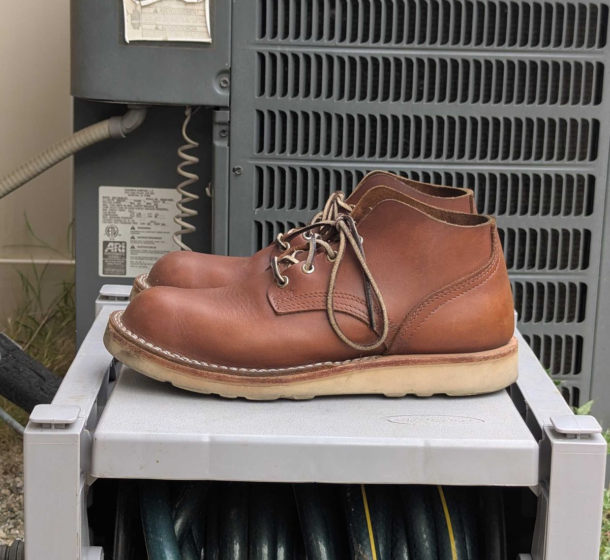 Photo by StuntTriple on April 1, 2026 of the Nicks Riverfront in Seidel 1964 Brown.