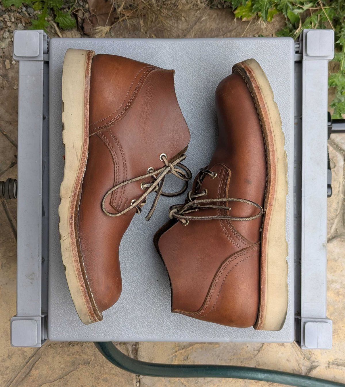 Photo by StuntTriple on April 1, 2026 of the Nicks Riverfront in Seidel 1964 Brown.