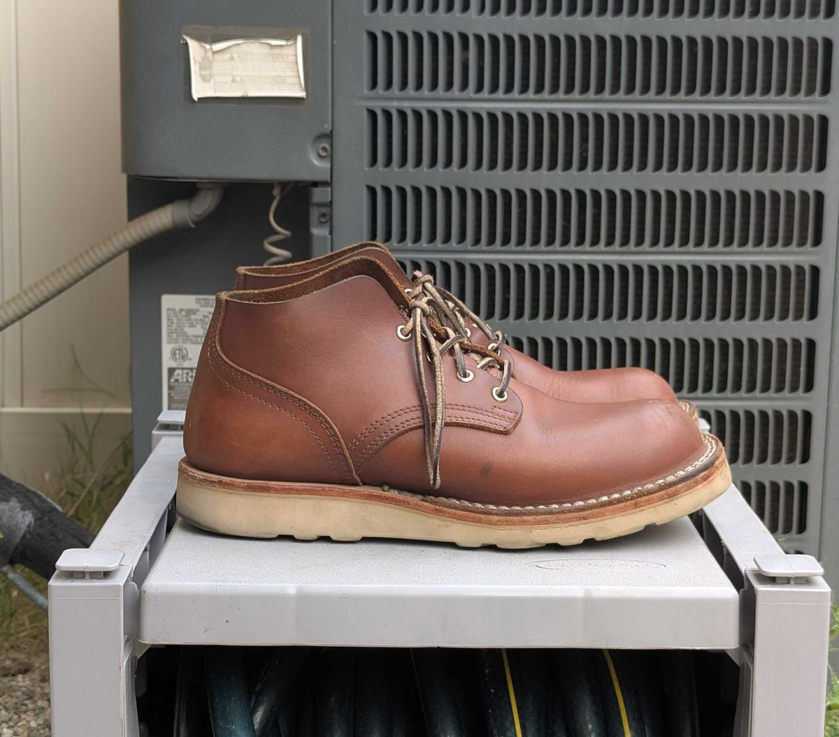 Photo by StuntTriple on April 1, 2026 of the Nicks Riverfront in Seidel 1964 Brown.