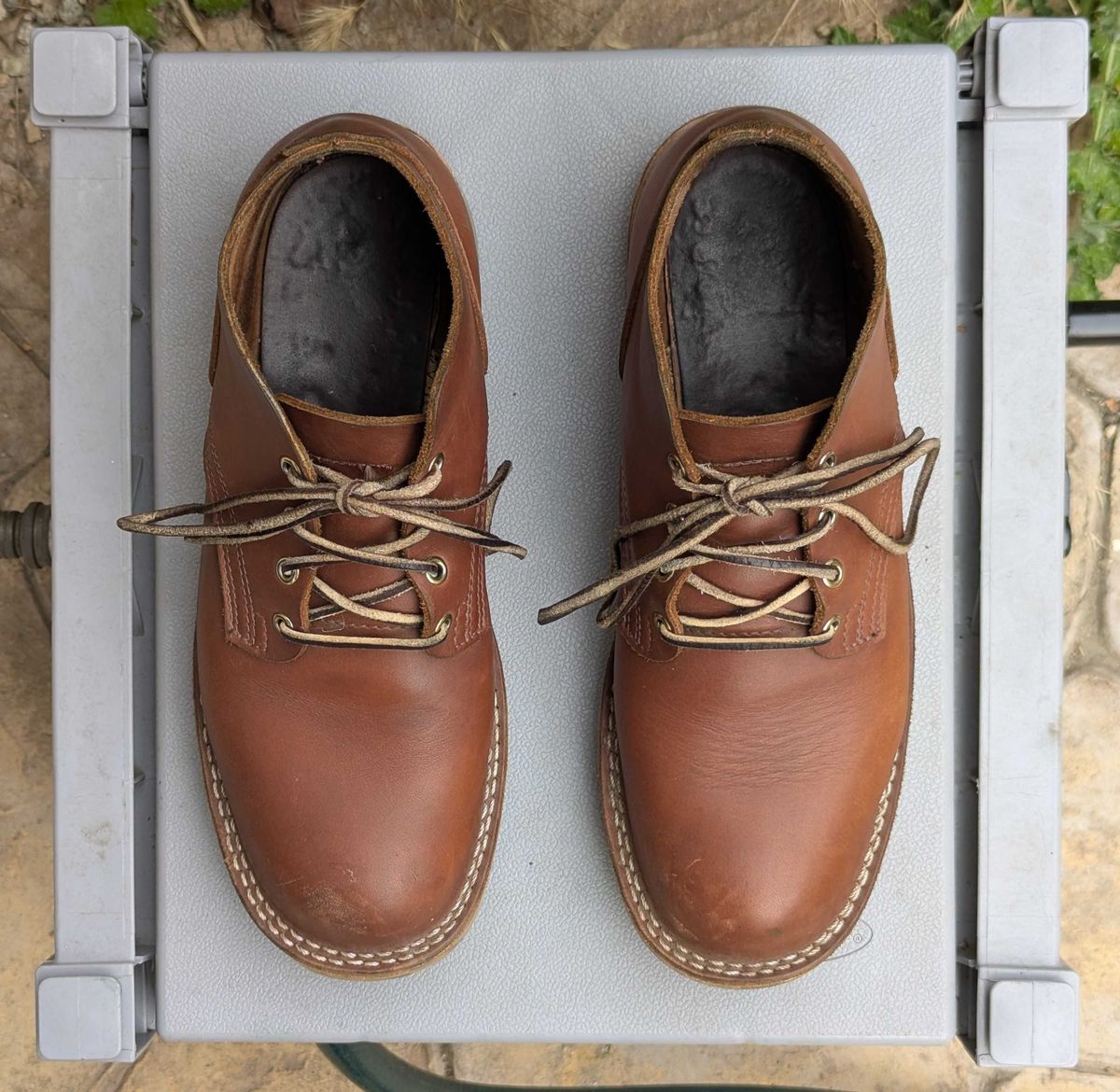 Photo by StuntTriple on April 1, 2026 of the Nicks Riverfront in Seidel 1964 Brown.