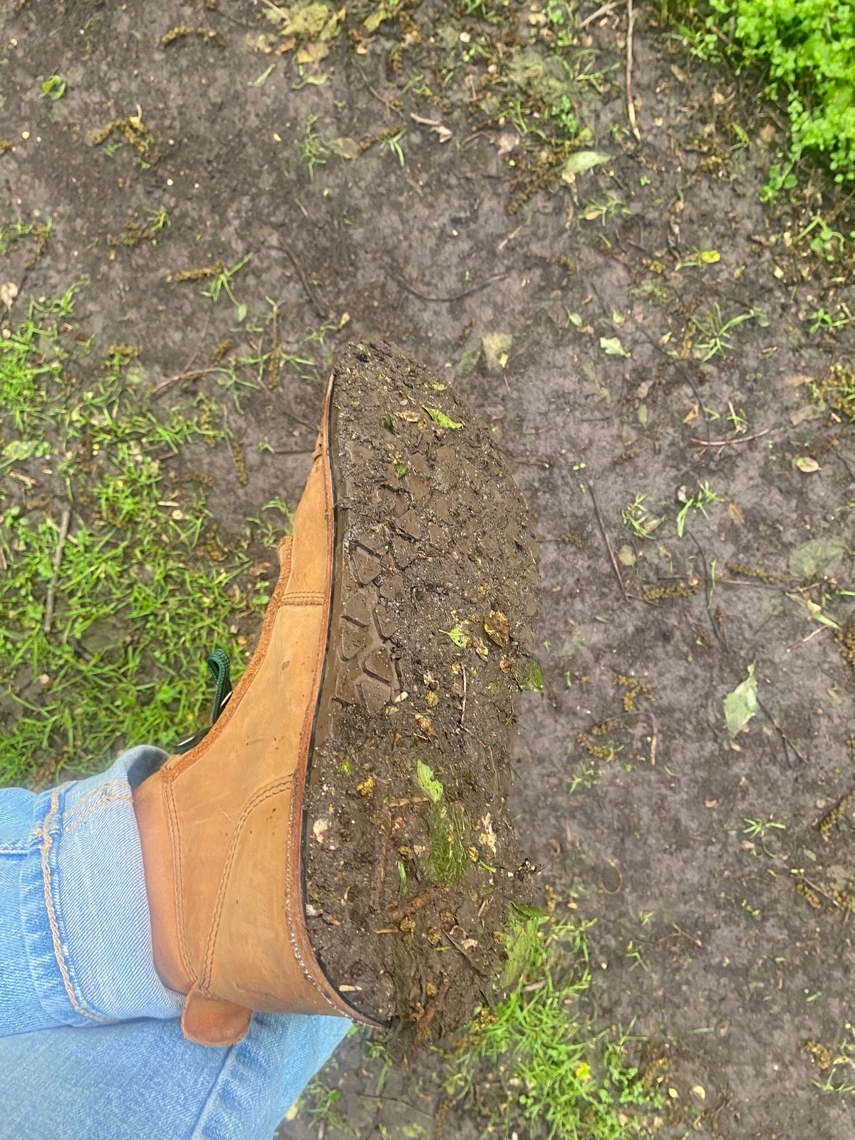 Photo by lolo99 on June 3, 2025 of the Jim Green African Ranger Barefoot Boot in Fudge Crazy Horse.