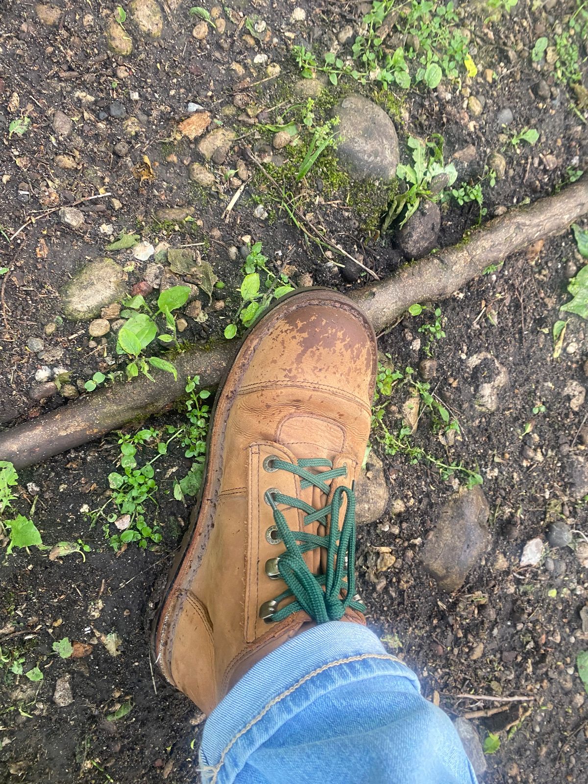 Photo by lolo99 on June 3, 2025 of the Jim Green African Ranger Barefoot Boot in Fudge Crazy Horse.