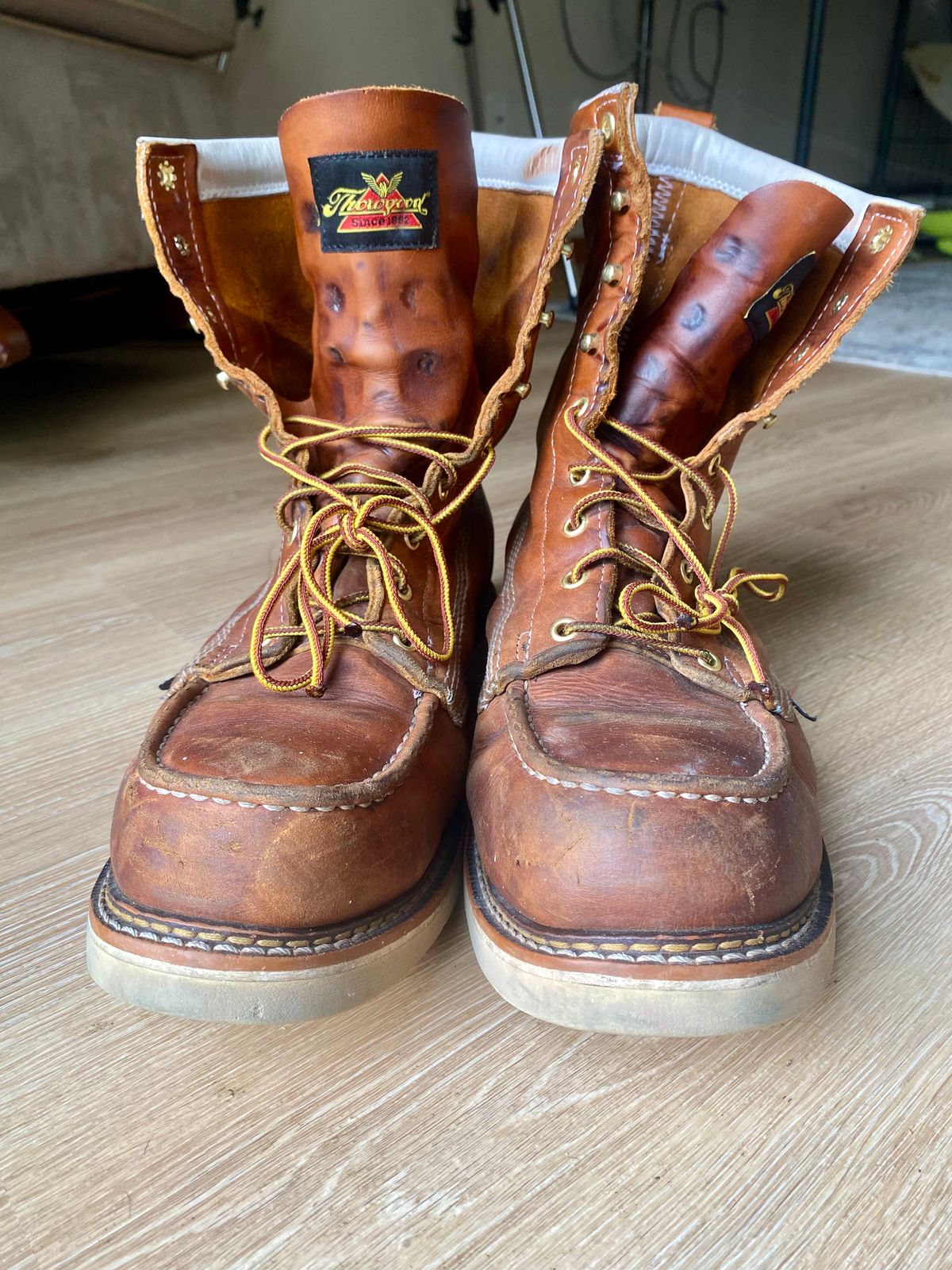 Photo by lolo99 on August 17, 2025 of the Thorogood 8" Moc Toe in Tobacco Gladiator Oil-Tanned.