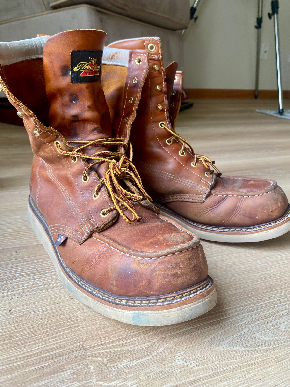 Photo by lolo99 on August 17, 2025 of the Thorogood 8" Moc Toe in Tobacco Gladiator Oil-Tanned.