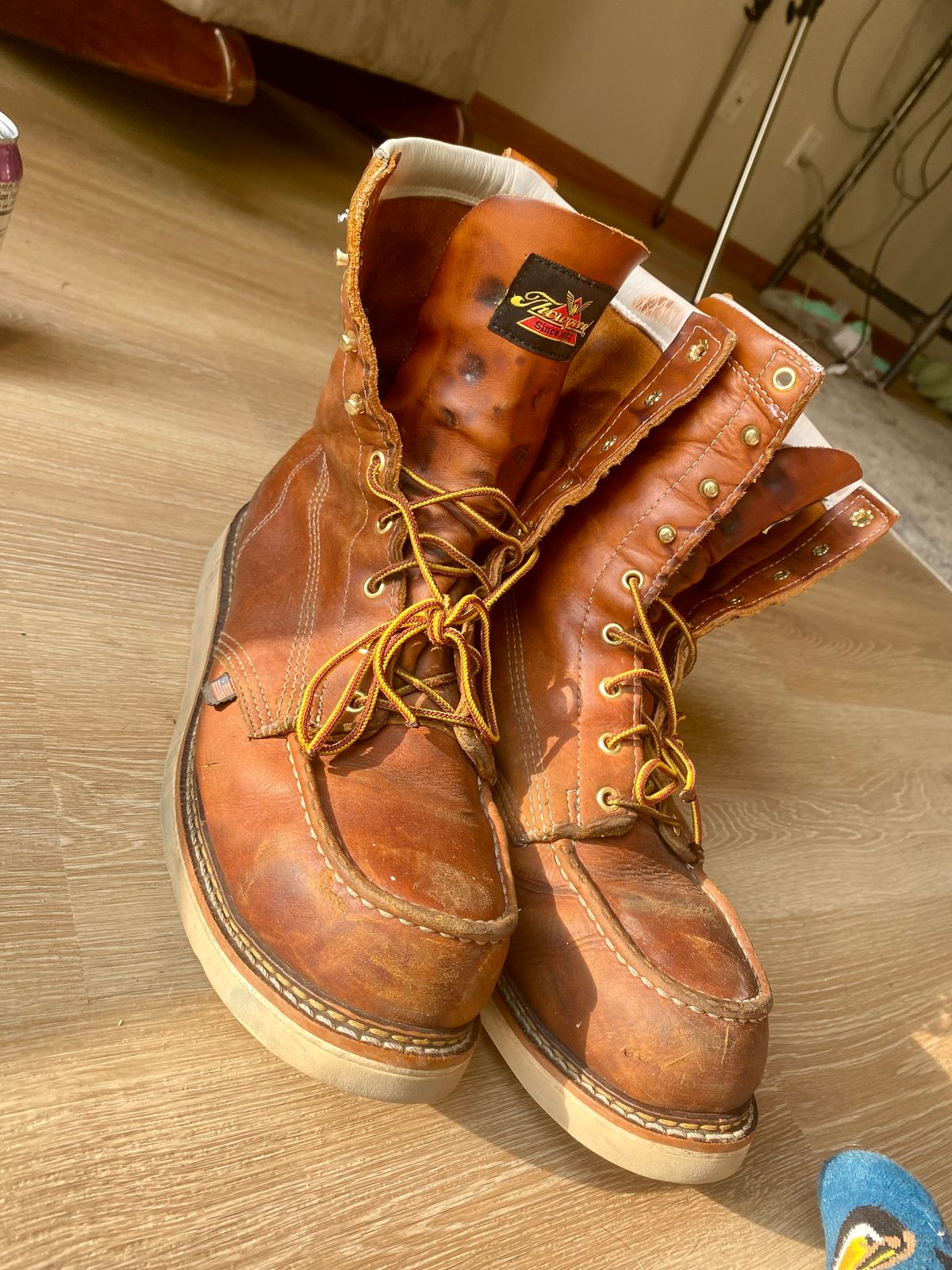 Photo by lolo99 on August 17, 2025 of the Thorogood 8" Moc Toe in Tobacco Gladiator Oil-Tanned.