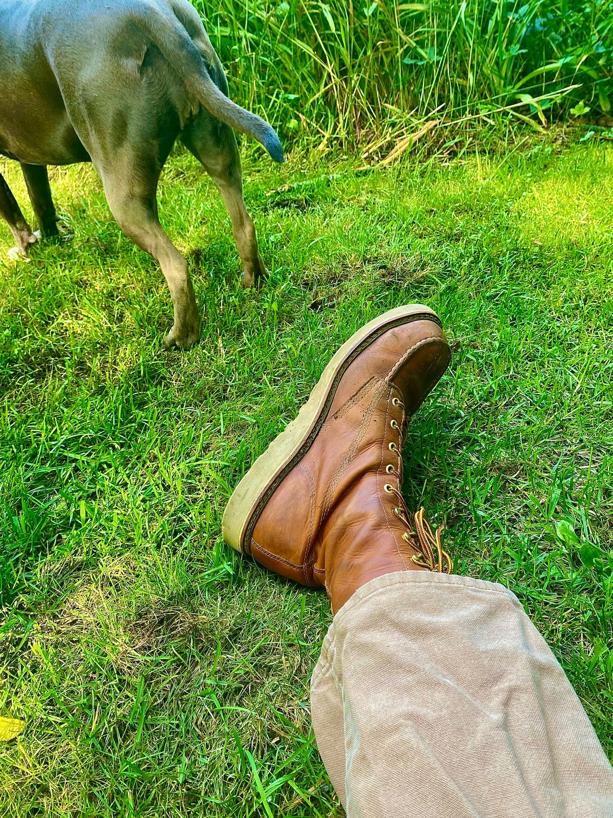Photo by lolo99 on July 15, 2025 of the Thorogood 8" Moc Toe in Tobacco Gladiator Oil-Tanned.