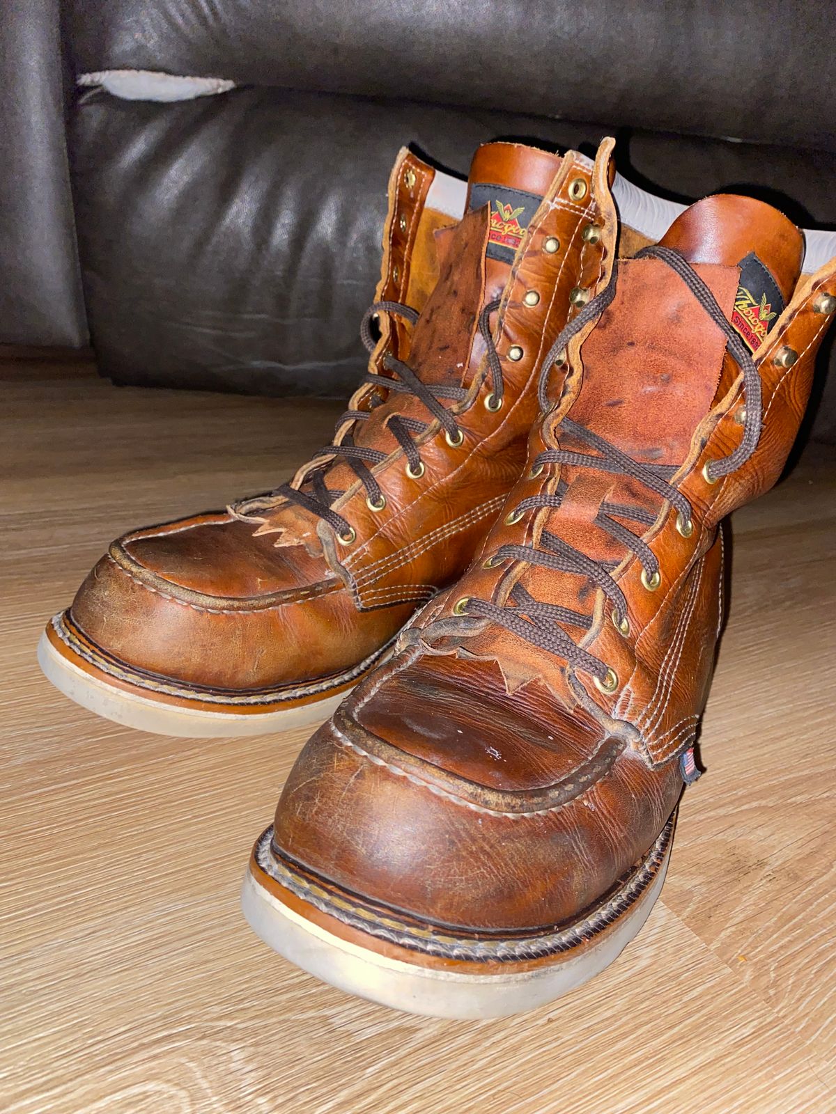 Photo by lolo99 on November 4, 2025 of the Thorogood 8" Moc Toe in Tobacco Gladiator Oil-Tanned.