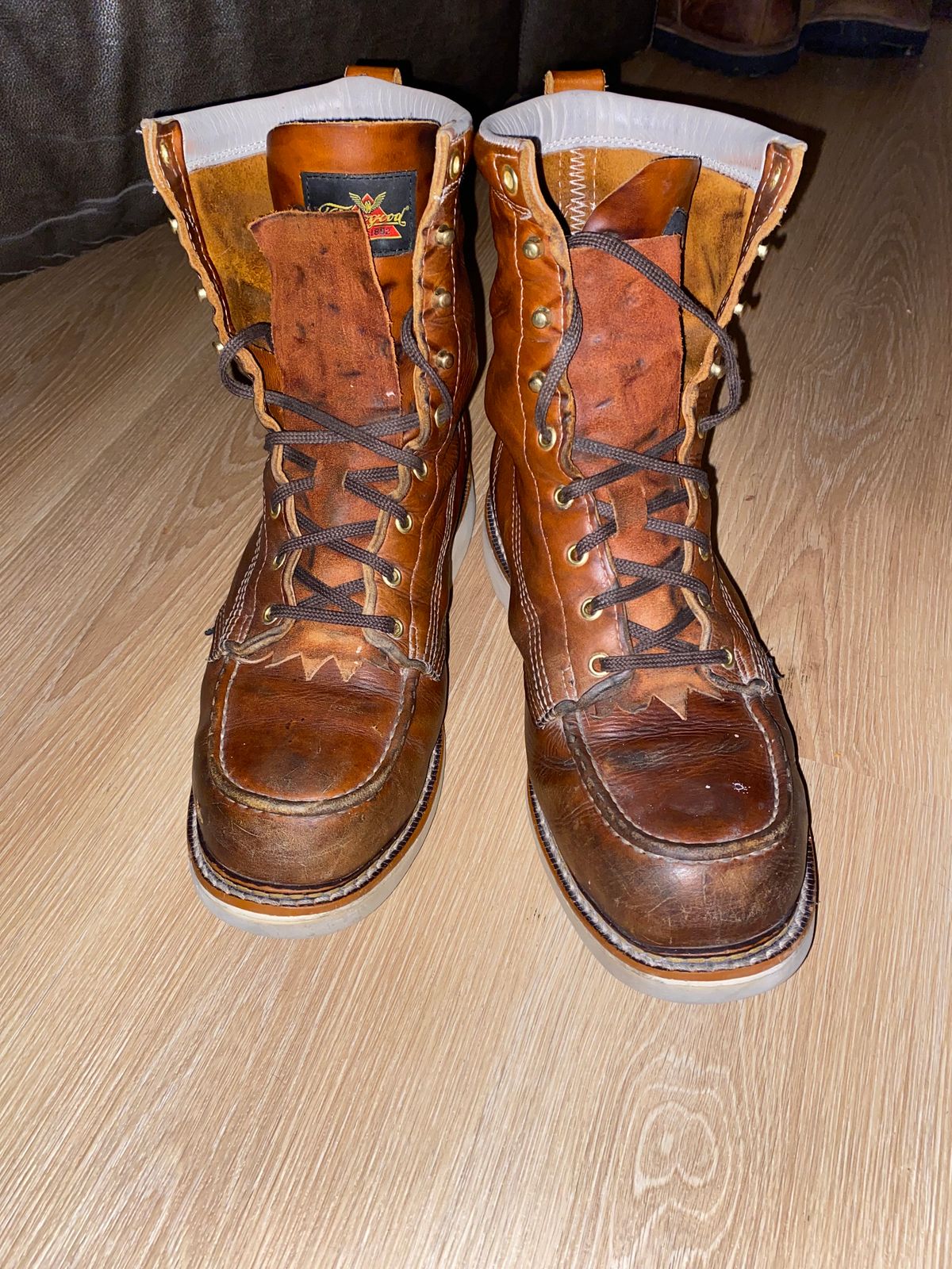 Photo by lolo99 on November 4, 2025 of the Thorogood 8" Moc Toe in Tobacco Gladiator Oil-Tanned.