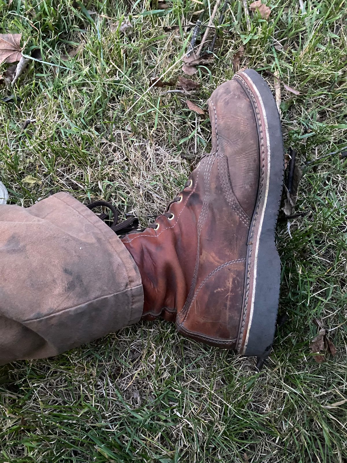 Photo by lolo99 on May 31, 2026 of the Thorogood 8" Moc Toe in Tobacco Gladiator Oil-Tanned.