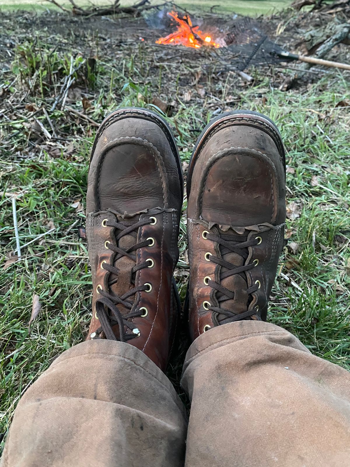 Photo by lolo99 on May 31, 2026 of the Thorogood 8" Moc Toe in Tobacco Gladiator Oil-Tanned.