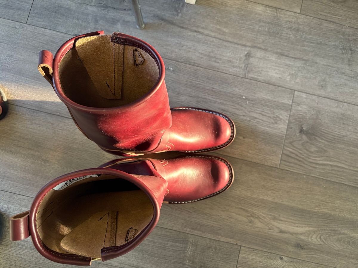Photo by Eviejr on September 30, 2025 of the Nicks StationMaster in Horween Color 8 Chromexcel Strips.