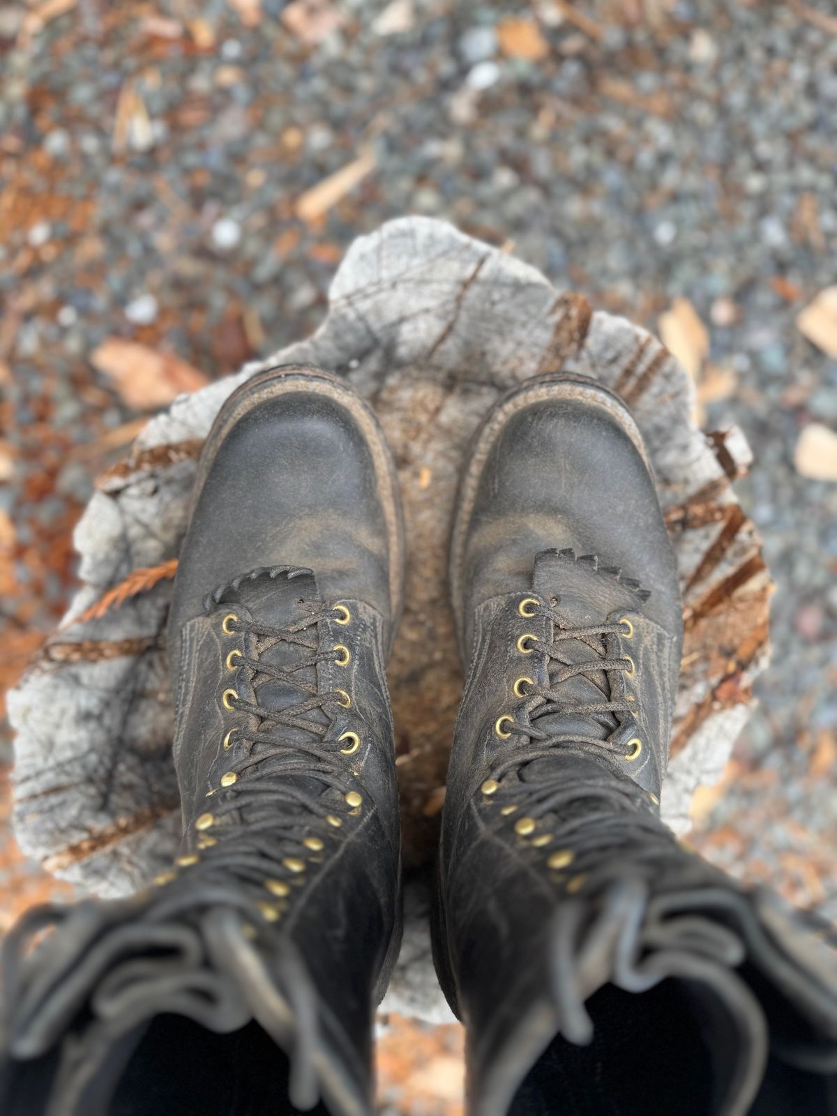 Photo by Awry_Camera on September 12, 2025 of the Nicks Hot Shot in Seidel MaxSupport Black Roughout & Seidel MaxSupport Black.