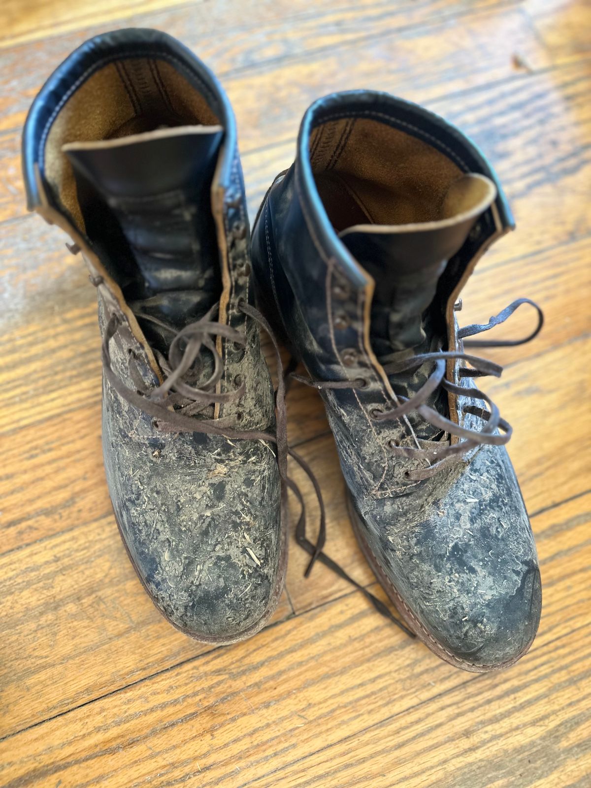 Photo by PastaKing on October 10, 2024 of the Red Wing Beckman Flatbox in S.B. Foot Black Klondike.