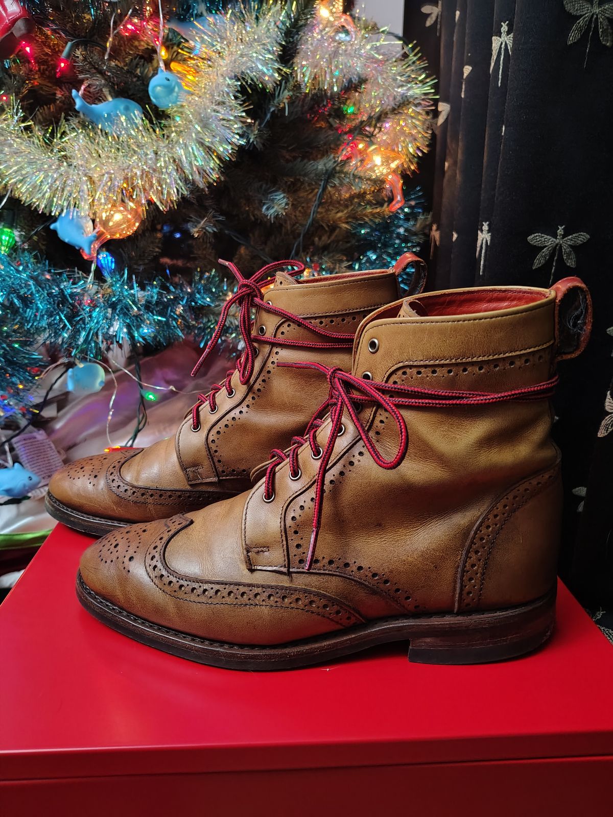 Photo by EMJ on January 3, 2026 of the Allen Edmonds Dalton Wingtip Dress Boot in Walnut Calfskin.