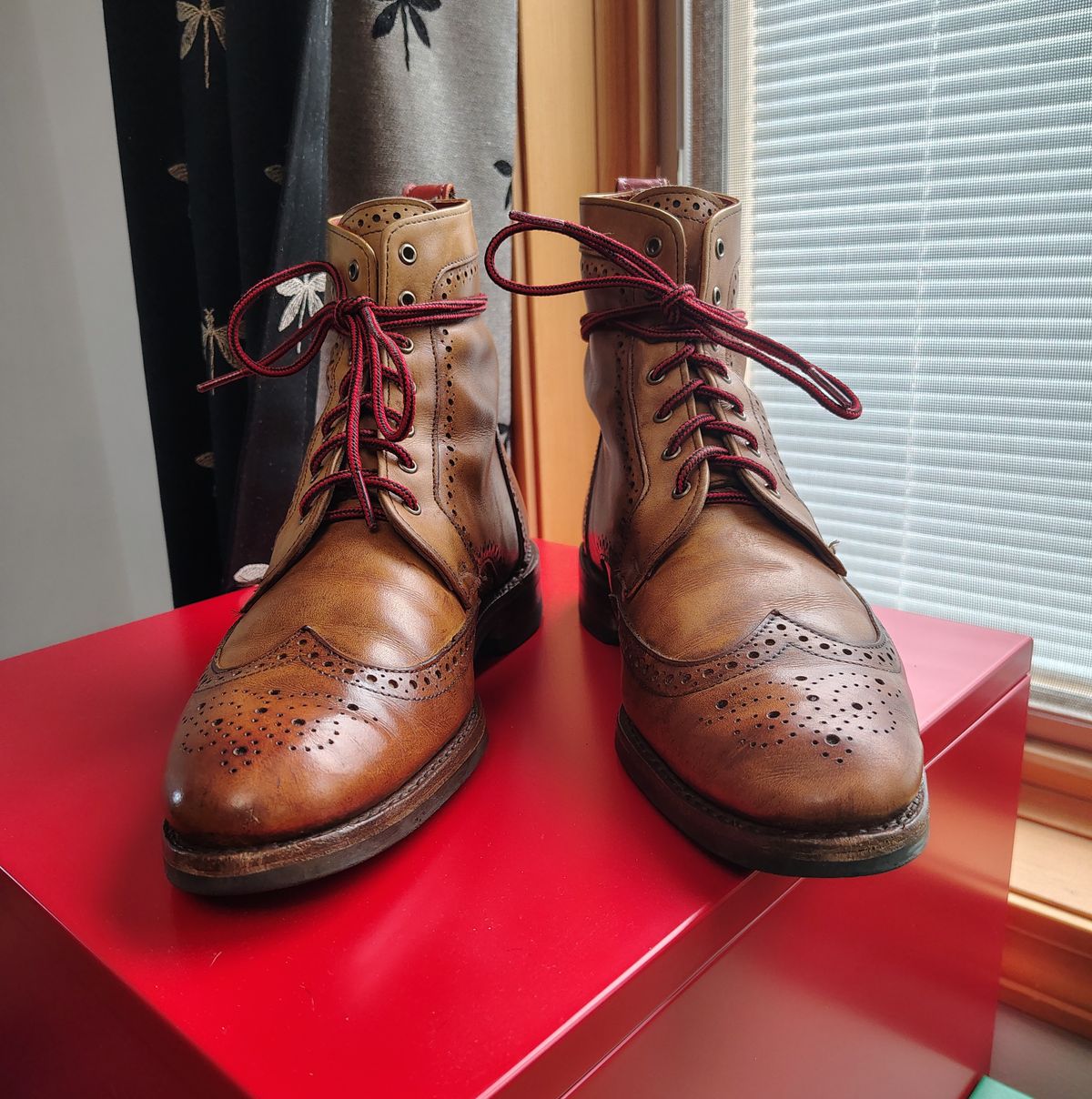 Photo by EMJ on March 4, 2026 of the Allen Edmonds Dalton Wingtip Dress Boot in Walnut Calfskin.