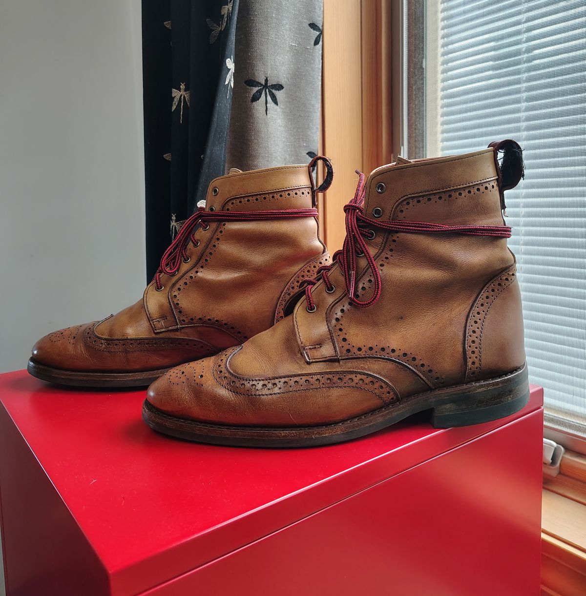 Photo by EMJ on March 4, 2026 of the Allen Edmonds Dalton Wingtip Dress Boot in Walnut Calfskin.